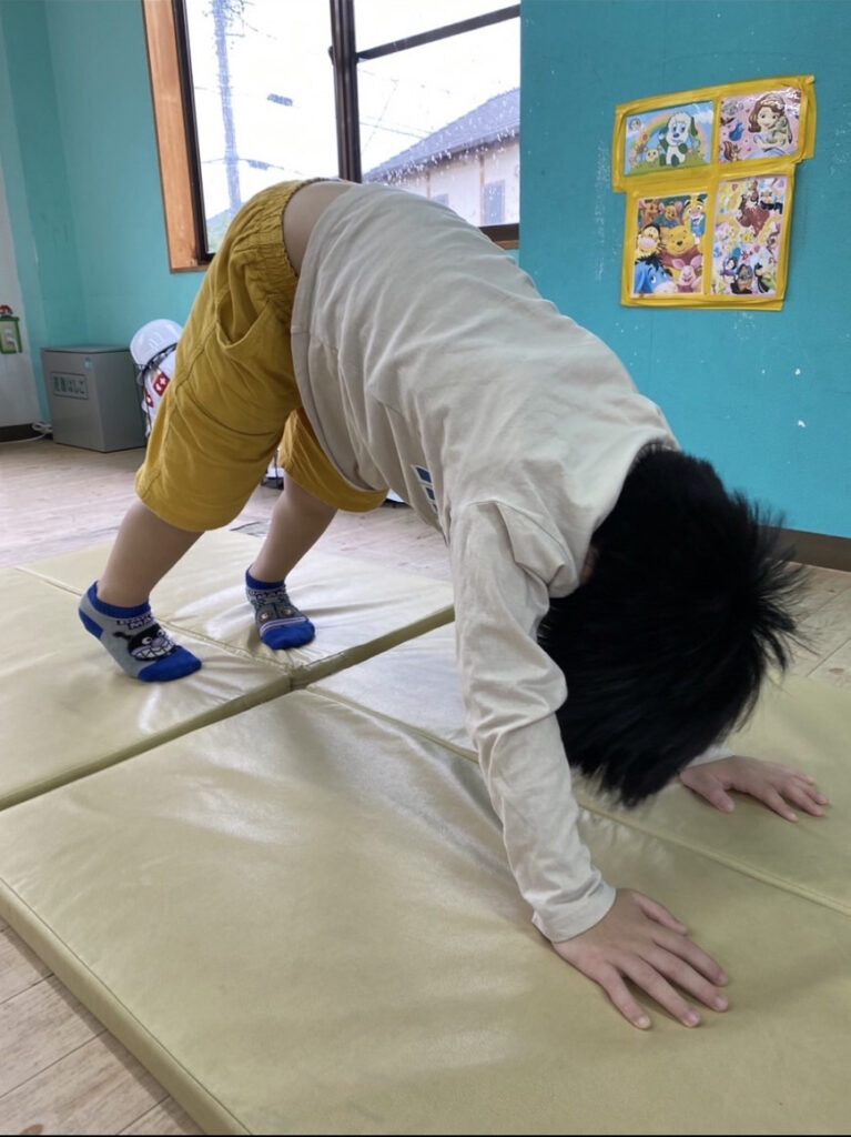 運動プログラム
